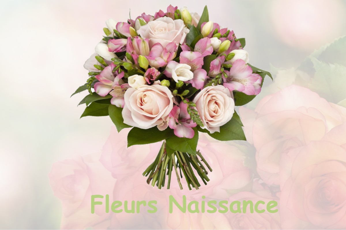 fleurs naissance CHARSONVILLE